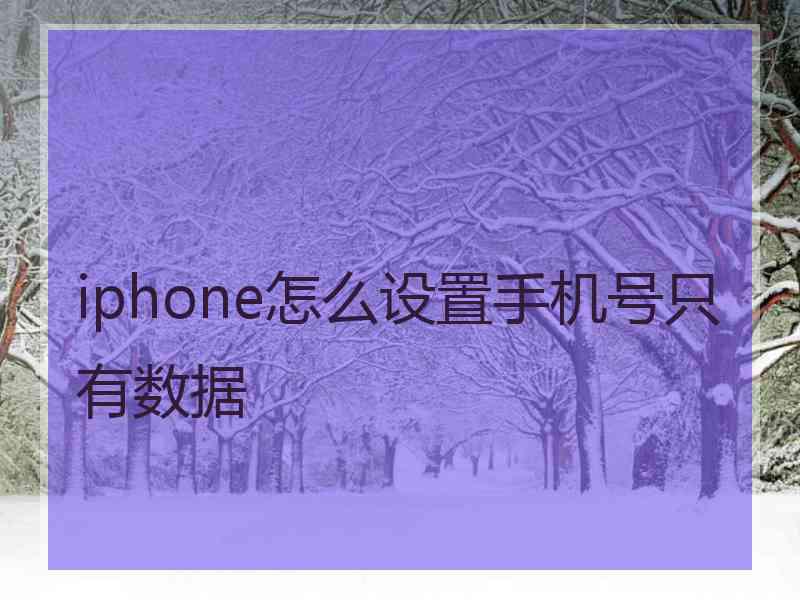 iphone怎么设置手机号只有数据