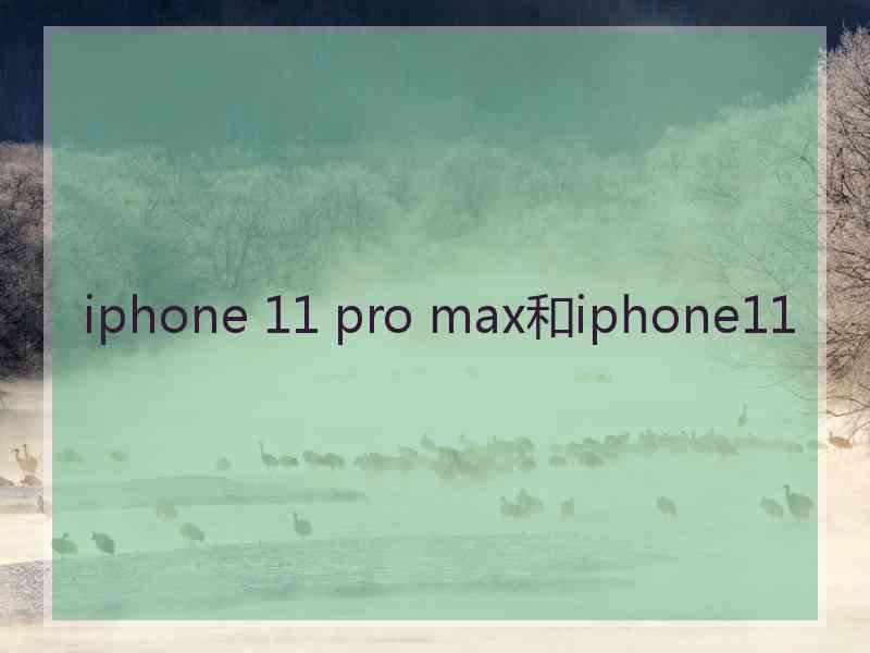 iphone 11 pro max和iphone11