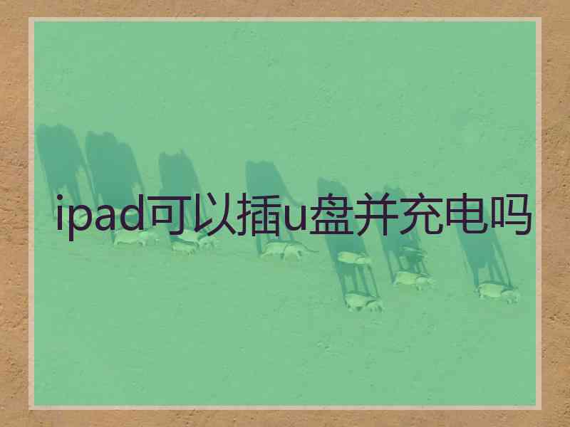 ipad可以插u盘并充电吗