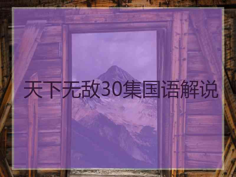 天下无敌30集国语解说