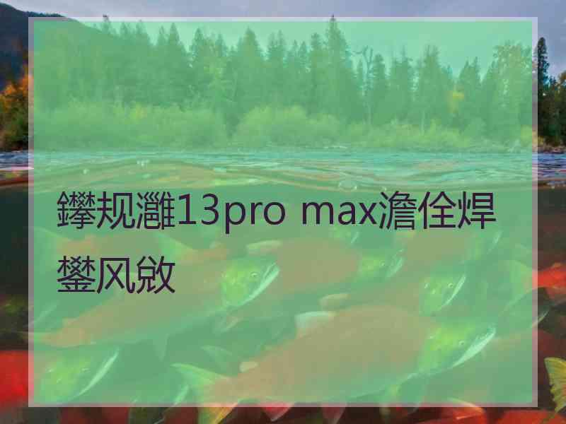 鑻规灉13pro max澹佺焊鐢风敓