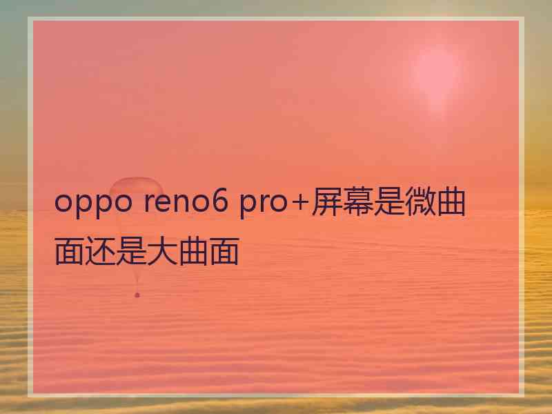 oppo reno6 pro+屏幕是微曲面还是大曲面