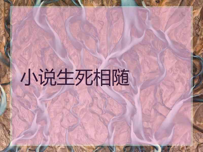 小说生死相随