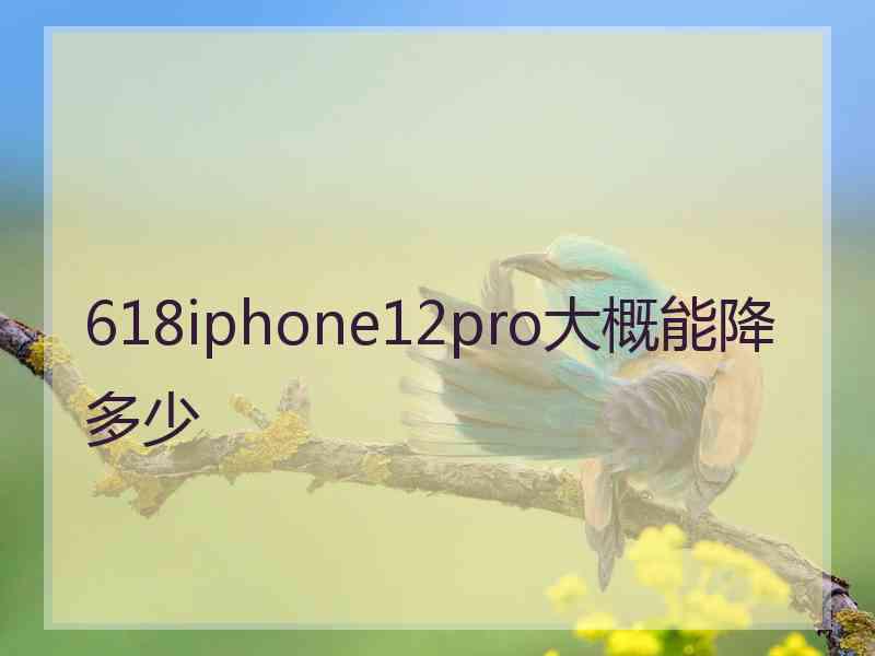 618iphone12pro大概能降多少