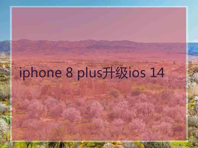 iphone 8 plus升级ios 14