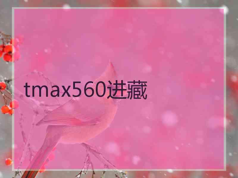 tmax560进藏