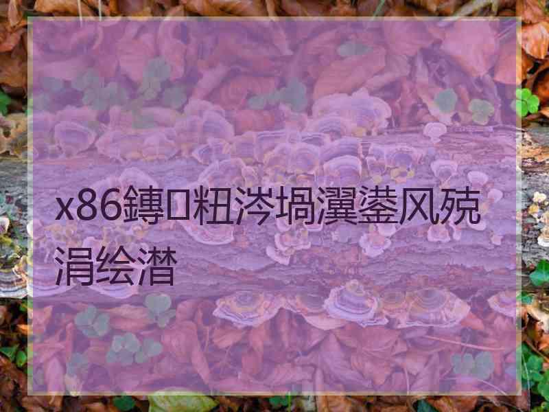 x86鏄粈涔堝瀷鍙风殑涓绘澘