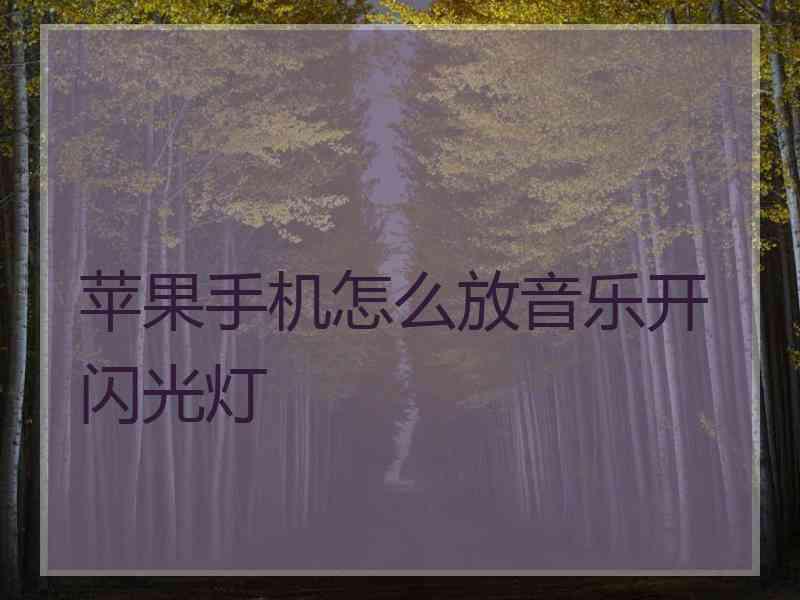 苹果手机怎么放音乐开闪光灯