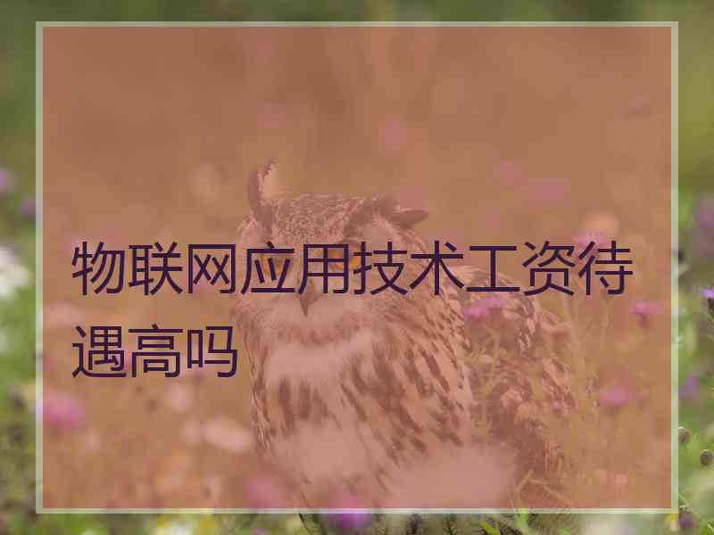 物联网应用技术工资待遇高吗