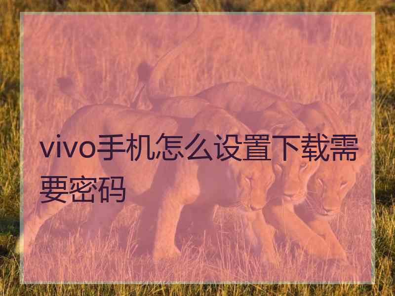 vivo手机怎么设置下载需要密码