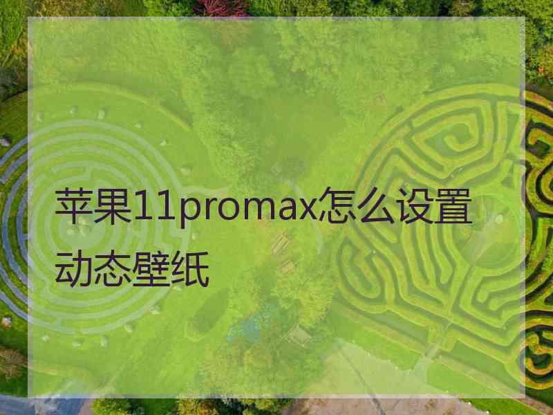 苹果11promax怎么设置动态壁纸