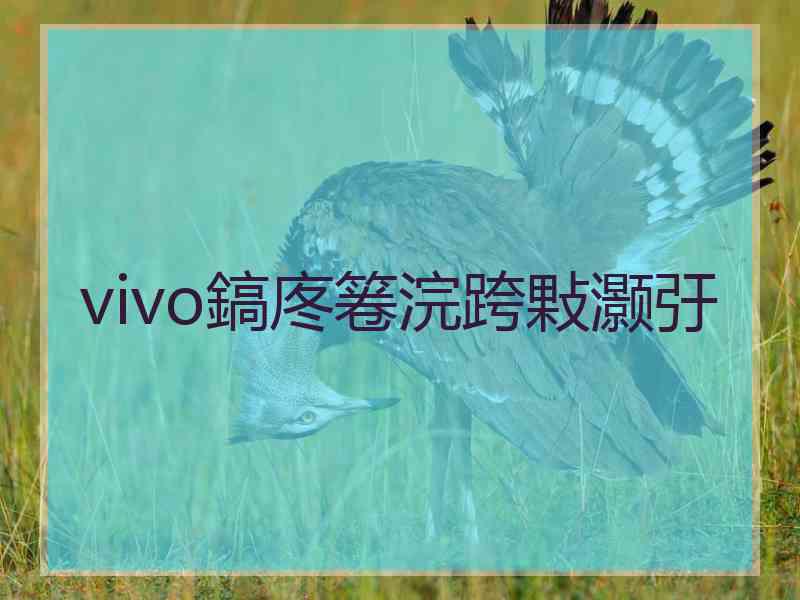 vivo鎬庝箞浣跨敤灏弙