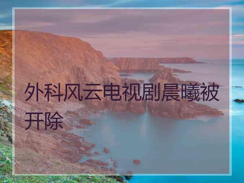 外科风云电视剧晨曦被开除