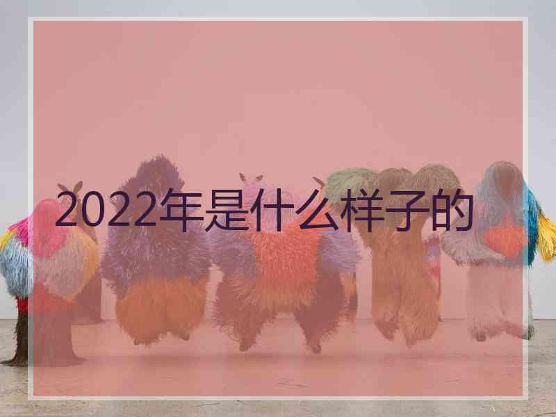 2022年是什么样子的