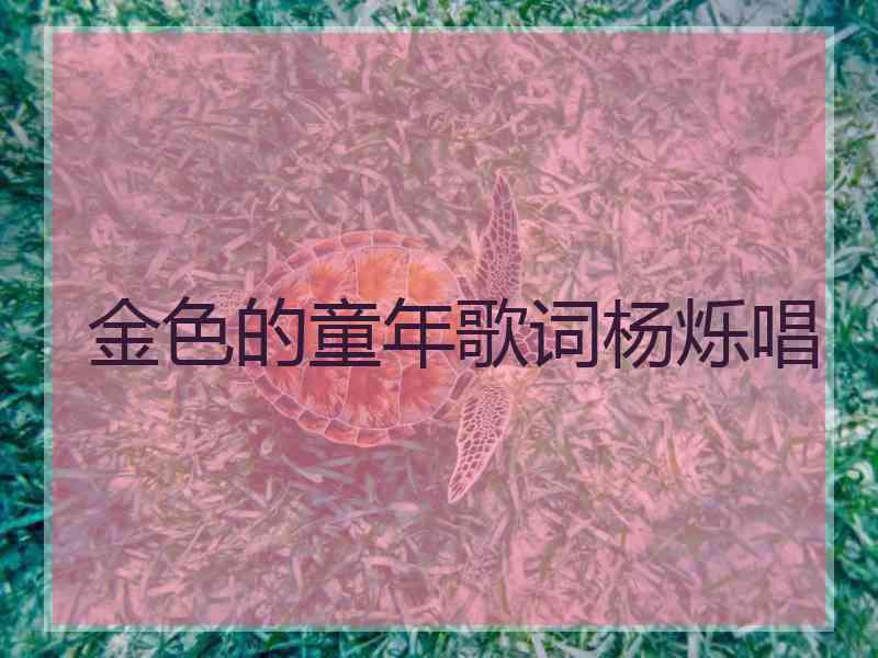 金色的童年歌词杨烁唱