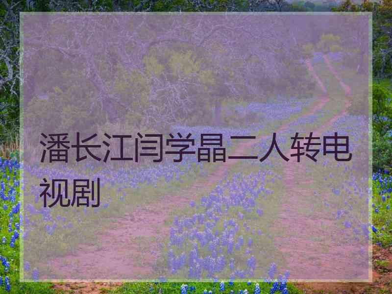 潘长江闫学晶二人转电视剧