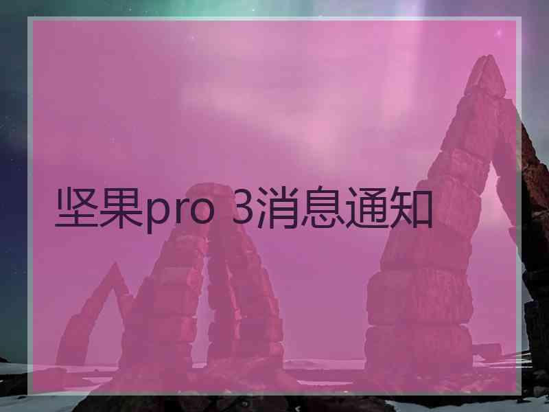 坚果pro 3消息通知