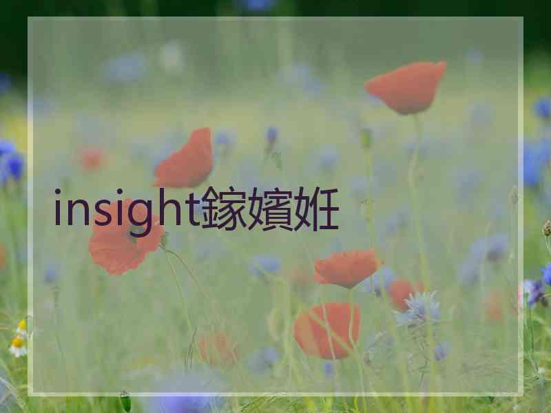 insight鎵嬪姙