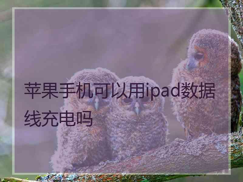 苹果手机可以用ipad数据线充电吗