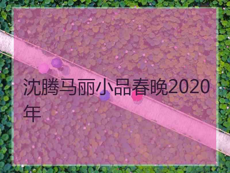 沈腾马丽小品春晚2020年