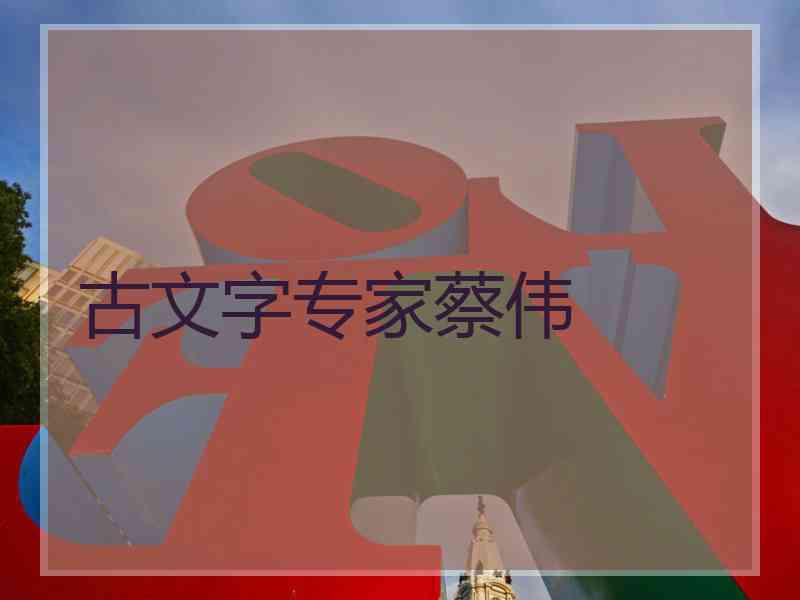 古文字专家蔡伟