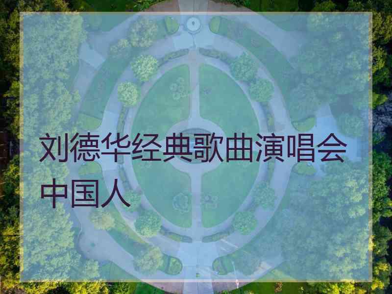 刘德华经典歌曲演唱会中国人