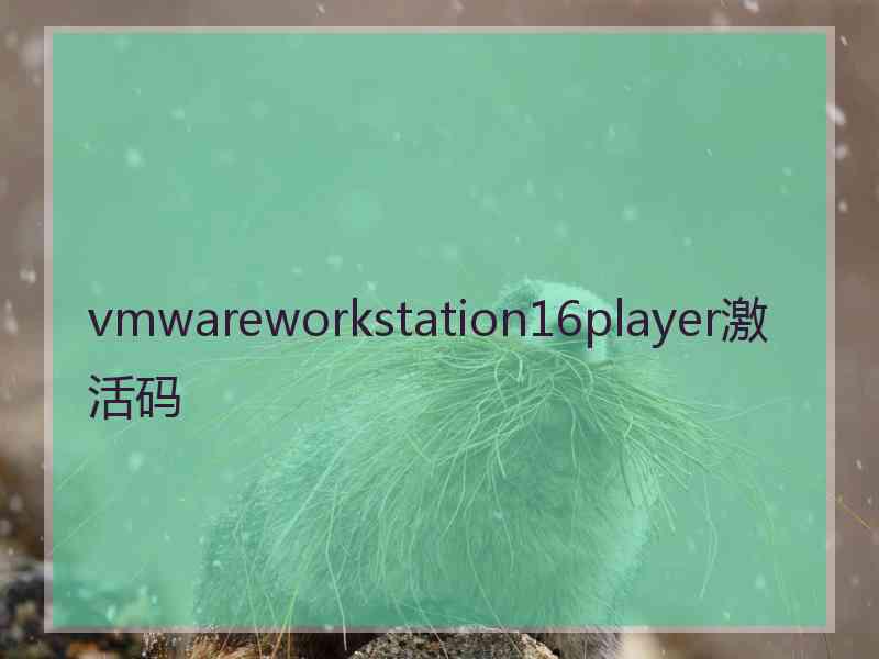 vmwareworkstation16player激活码