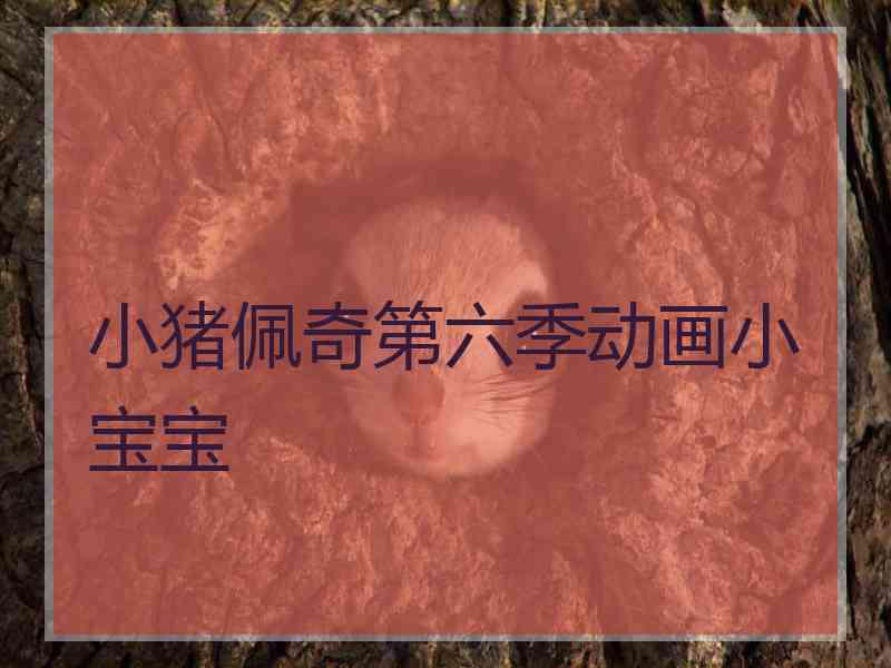 小猪佩奇第六季动画小宝宝