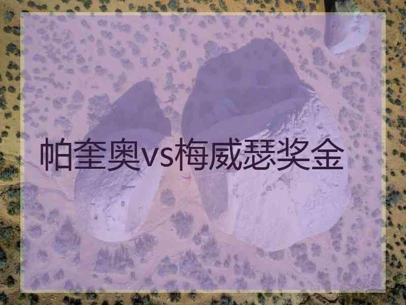 帕奎奥vs梅威瑟奖金