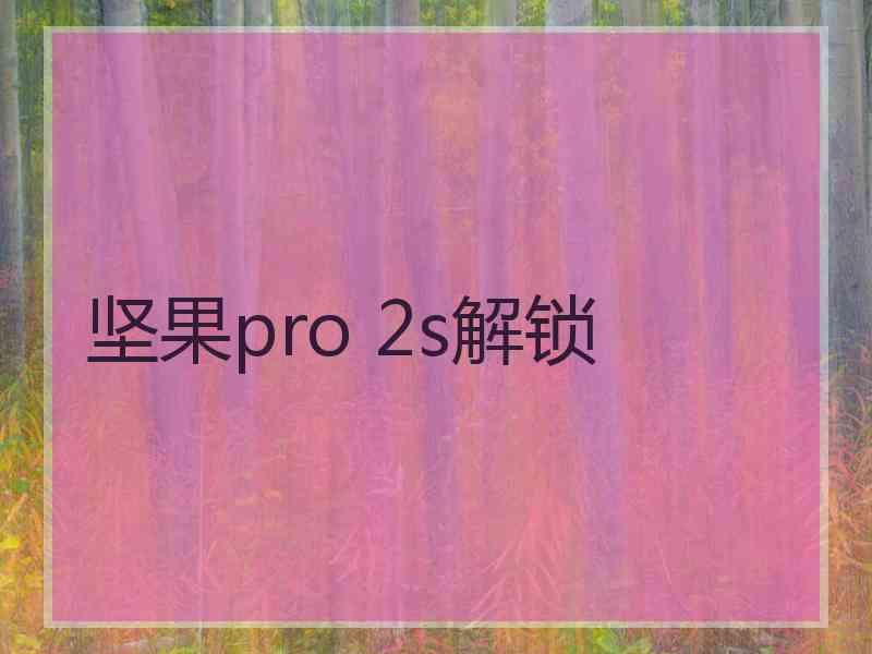 坚果pro 2s解锁