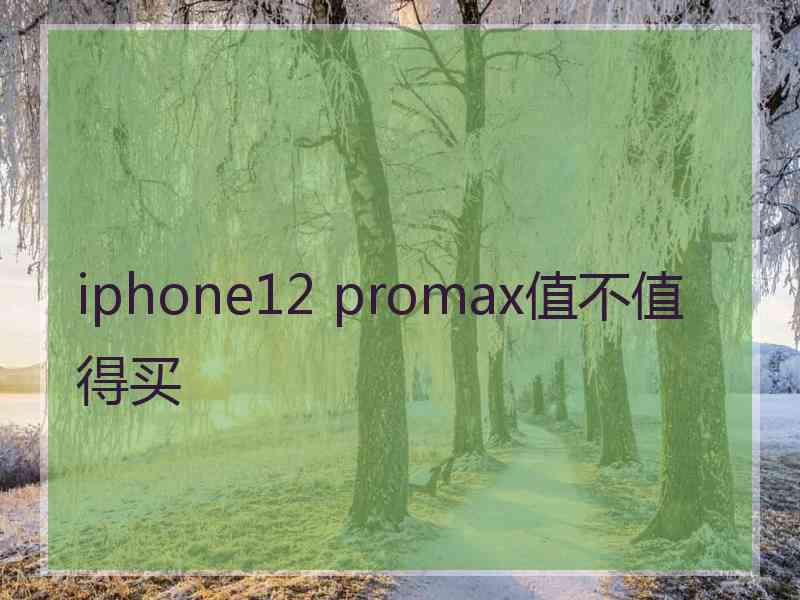 iphone12 promax值不值得买