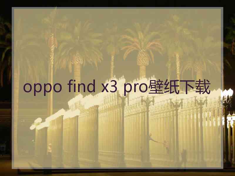 oppo find x3 pro壁纸下载