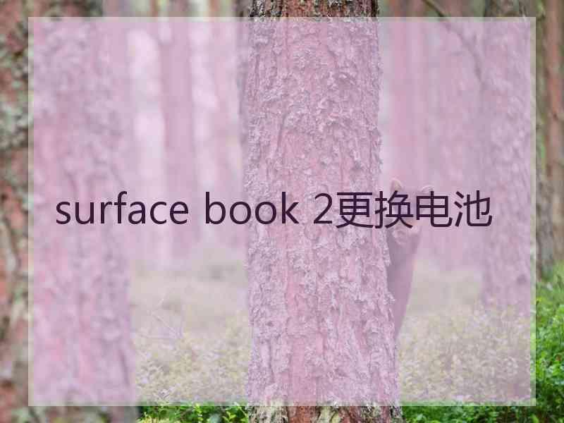 surface book 2更换电池