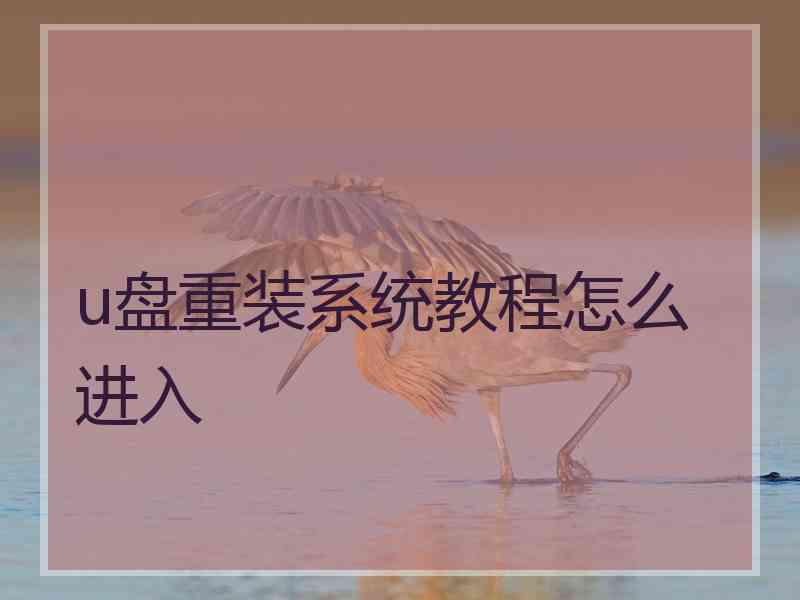 u盘重装系统教程怎么进入