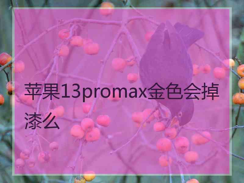 苹果13promax金色会掉漆么