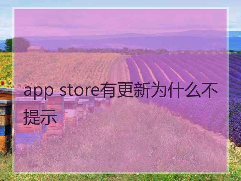 app store有更新为什么不提示