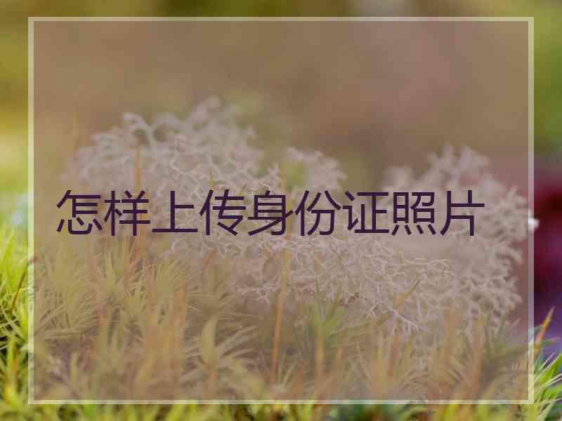 怎样上传身份证照片