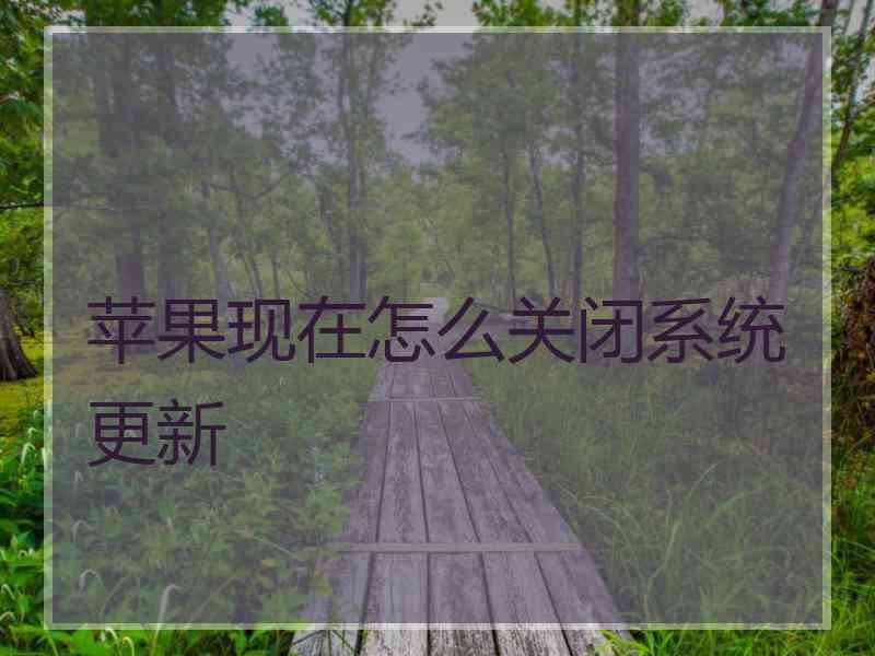 苹果现在怎么关闭系统更新