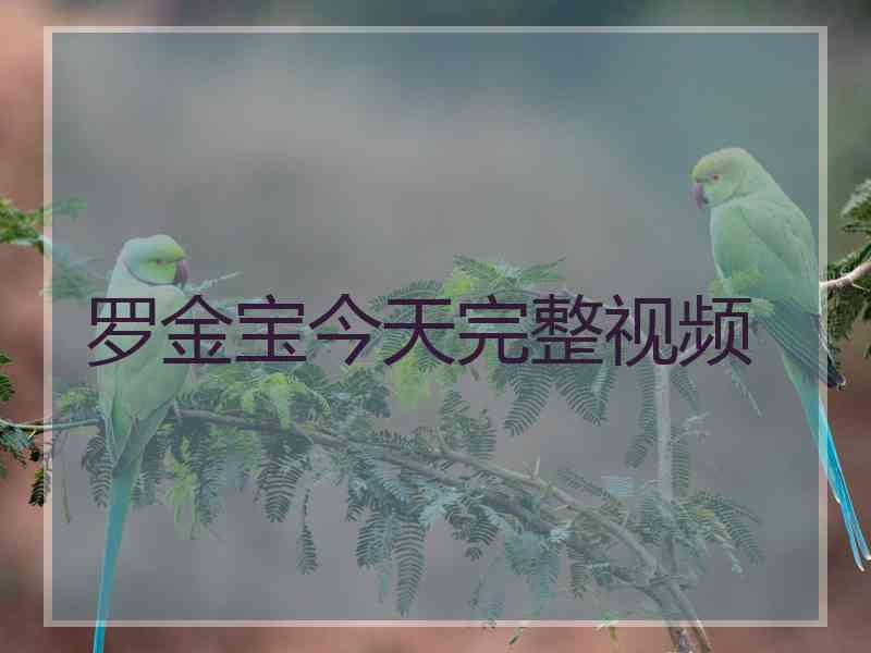 罗金宝今天完整视频