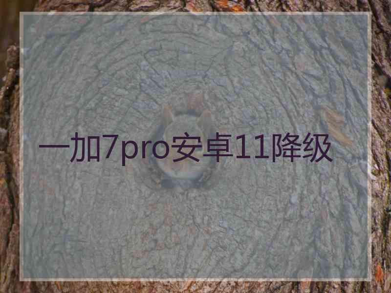 一加7pro安卓11降级