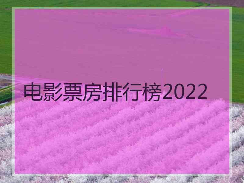 电影票房排行榜2022