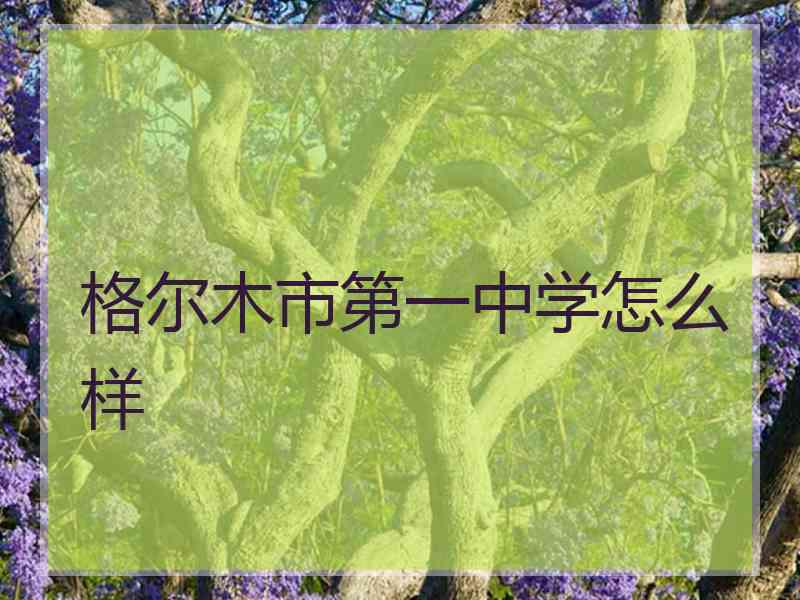 格尔木市第一中学怎么样