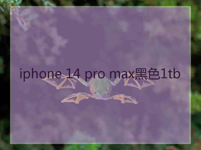 iphone 14 pro max黑色1tb