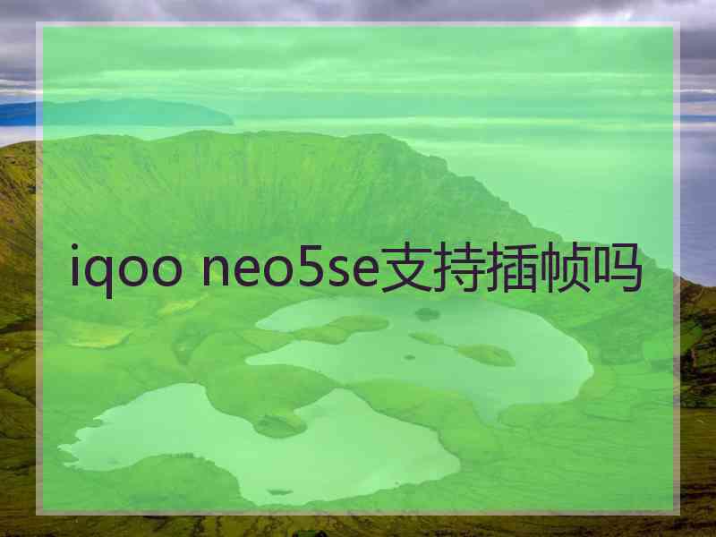 iqoo neo5se支持插帧吗