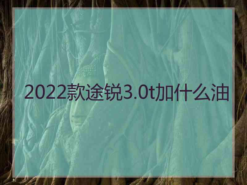 2022款途锐3.0t加什么油