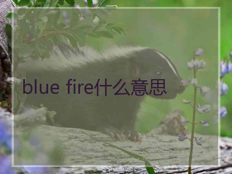 blue fire什么意思