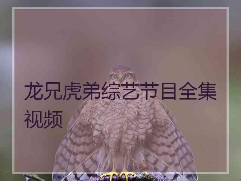 龙兄虎弟综艺节目全集视频