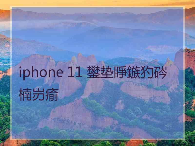 iphone 11 鐢垫睜鏃犳硶楠岃瘉