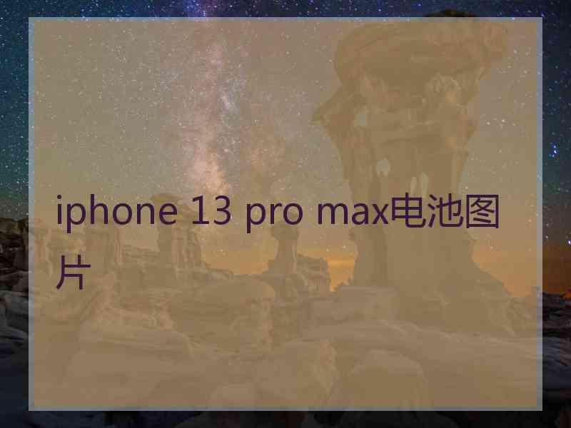 iphone 13 pro max电池图片