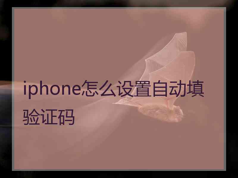 iphone怎么设置自动填验证码